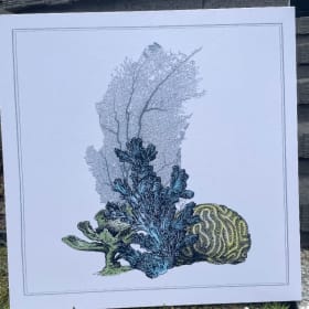 "Coral Beauty" Coastal Art Prints item