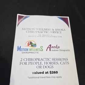 2 Chiropractic Sessions for People or Animals item
