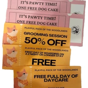 Playful Pack item