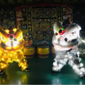 LED Light Lions item