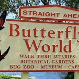 ButterflyWorld item