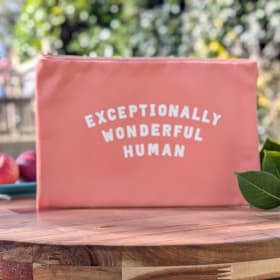 Exceptionally Wonderful Human | Peach Pouch item