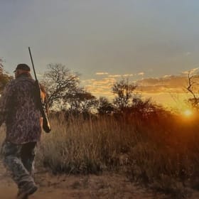 Hercules Safaris African Hunt item