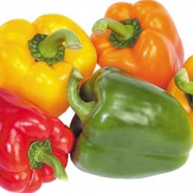 Potted Pepper Varieties - Set of 6 item