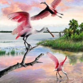 The Spoonbill Lagoon by Peter Gerbert item