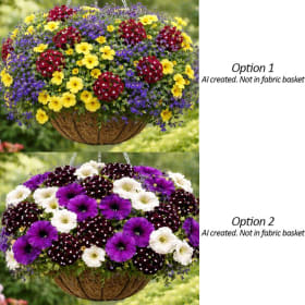 11' Hanging Basket Combos item