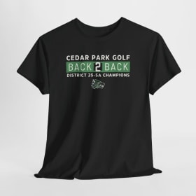 T-shirt item
