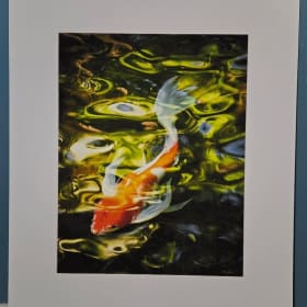 12) "Big Fish in a Small Pond" Photo Print item