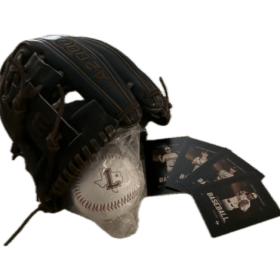 Wilson A2000 Glove $300 Value item