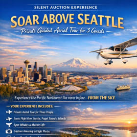 Private Aerial Tour for 3 item