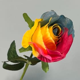 Rainbow Silk Rose item