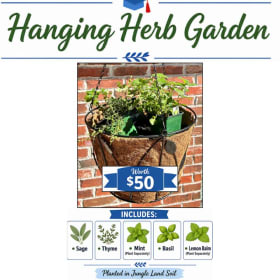 Hanging Herb Garden item