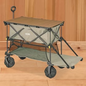 Double Decker Wagon item