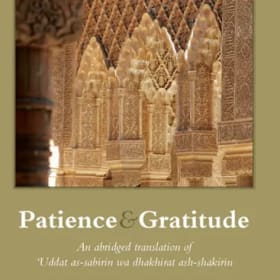 Patience and Gratitude item