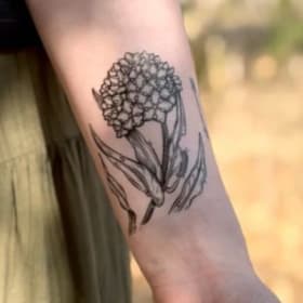 NatureTats "Milkweed" Temporary Tattoo item