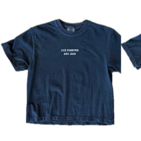 Gray "We Got This" Cropped T-Shirt item