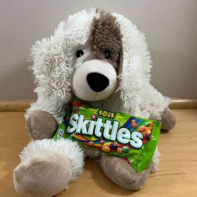 Puppy Warmie + Sour Skittles item