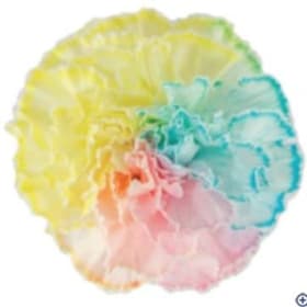Pastel Carnation Bouquet item
