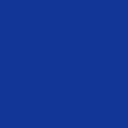 BLUE HOUSE item