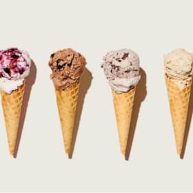 $25 Earnest Ice Cream Gift Card item
