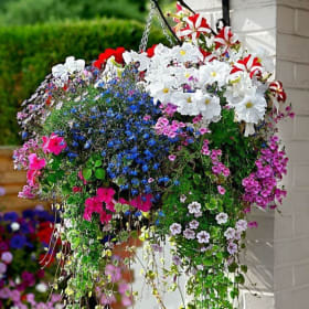 Hanging floral basket item
