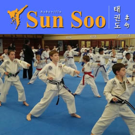 Sun Soo Martial Arts Training Package (1 of 2) item