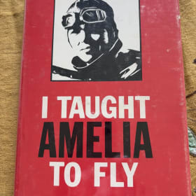 I Taught Amelia to Fly item