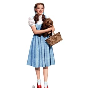DOROTHY: FRI. MAY 15TH, 7PM item