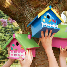 MON 7/13 - Birdhouse Building item