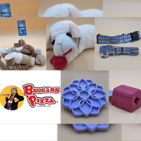 🐾 Peace, Love & Paws: A Groovy Pup & Pizza Night 🐕✌️🍕 item