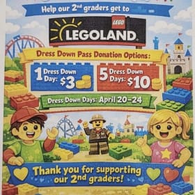 5 Dress Down Passes item