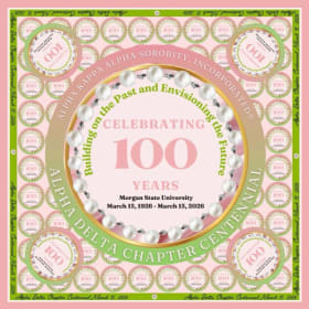 Centennial Scarf and Pin Set item