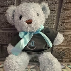 MOV Teddy Bear item
