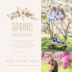 Item #1: Spring Mini Session Certificate item