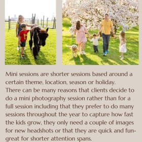 Item #1: Spring Mini Session Certificate item