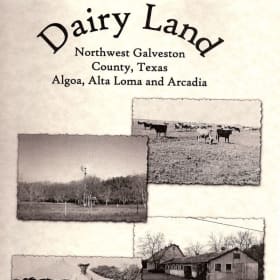 Book - Dairy Land item