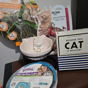 Cat Lover Bundle item