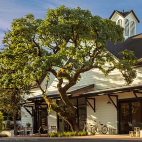 A Sonoma Night to Remember: Dinner, Theater & Hotel item