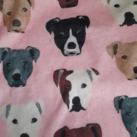 Soft pink staffy blanket item