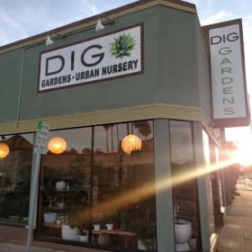 Photo of $25 Dig Gardens Gift Card