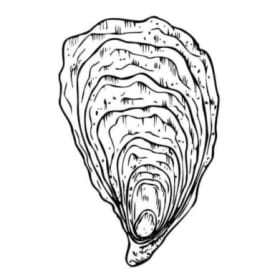 Pacific Triploid (non-spawning) item