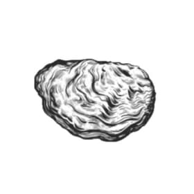 Kumamoto Seed (Kumo) item