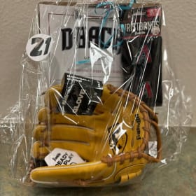 #21 Arizona Diamondbacks item