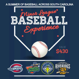 SC Minor League Baseball Experience item