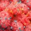 Berry Cosmic Clusters - (1.5oz) item