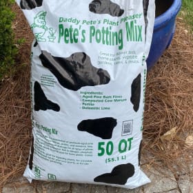 HG103 -Large Blue Plant Container & Soil item
