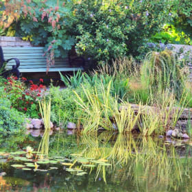 Serenity Water Garden Package item