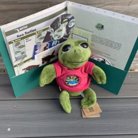 Sea Turtle Sponsorship item