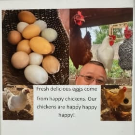 Local Fresh Egg Bundle item