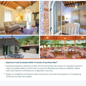 #10 TRIP: Timeless Tuscany (7 Nights, 8 Guests!) item